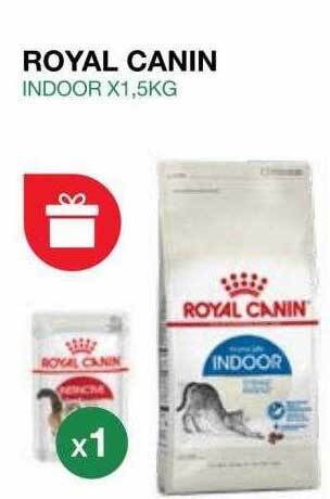 Puppis Royal canin indoor oferta
