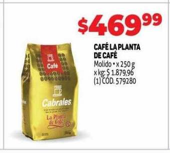 Makro Café la planta de café oferta