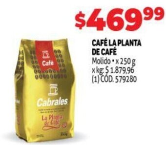 Makro Café La Planta de Café oferta
