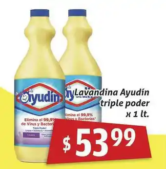 Gomez Pardo Ayudín Lavandina Triple Poder x 1lt oferta