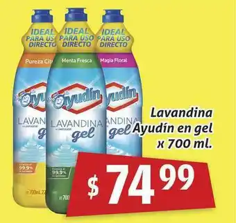 Gomez Pardo Ayudín Lavandina En Gel x 700ml oferta