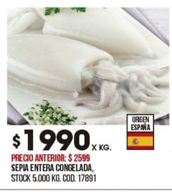 Coto Sepia entera Congelada oferta