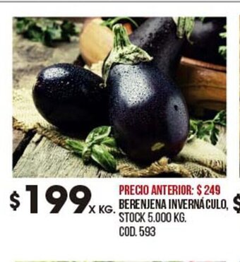 Coto Berenjena Inverna Culo, oferta