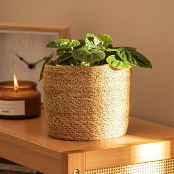Arredo Contenedor mamushka 14x14 cm oferta