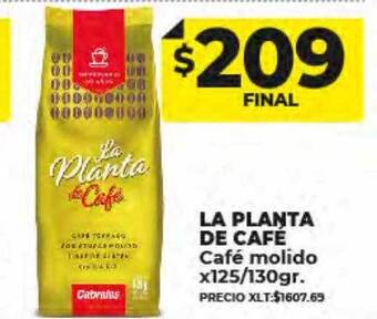 Supermayorista Vital La planta de café café molido oferta