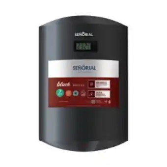 Casa Luis Chemes Termotanque eléctrico señorial black 60l oferta
