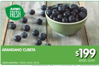 Jumbo Arándanos cubeta oferta