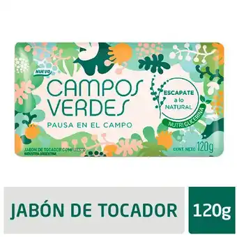 Coto Jabon tocador pausa en el ca campos verd paq 120 grm oferta