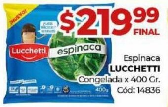 Diarco Lucchetti oferta