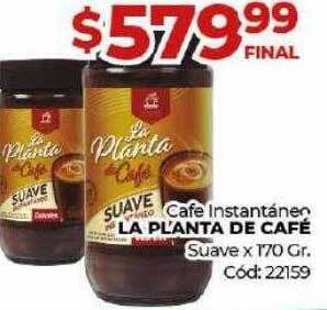 Diarco Cafe instantáneo la planta de café suave oferta