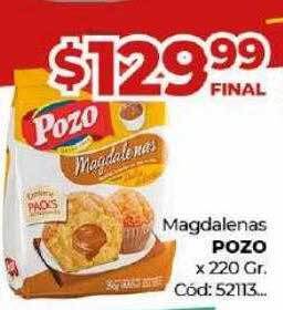 Diarco Magdalenas pozo oferta