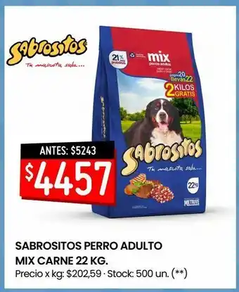 Changomas Sabrositos perro adulto mix carne 22 kg. oferta