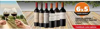 Supermayorista Vital Familia gascon - escorihuela gascon oferta