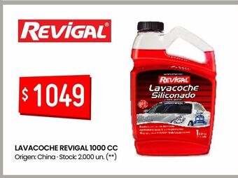Changomas Lavacoche revigal 1000 cc oferta