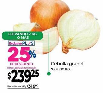 La Anonima Cebolla granel oferta