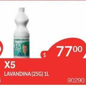 Masivos X5 lavandina oferta