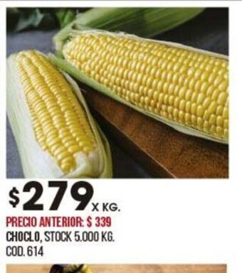 Coto Choclo oferta