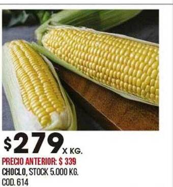 Coto Choclo oferta