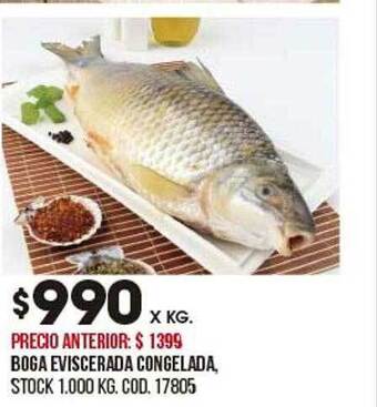 Coto Boga eviscerada congelada oferta