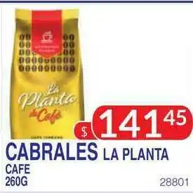 Masivos Cabrales La Planta Cafe 260G oferta
