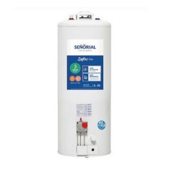 Gamma Termotanque multigas 85lts pie/colgar señorial (tsz-85/) c/superior oferta