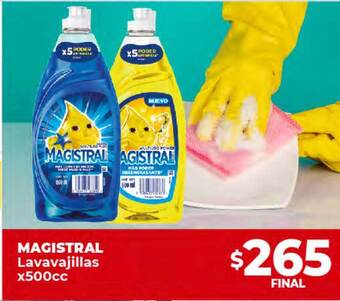 Supermayorista Vital Magistral lavavajillas oferta