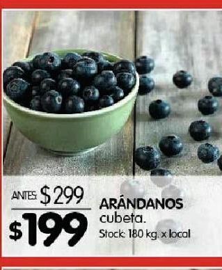 Disco Arándanos oferta