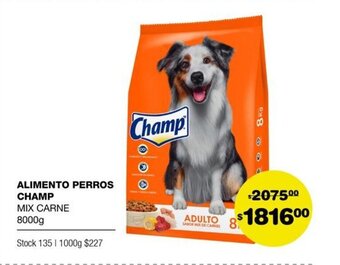 Atomo Conviene CHAMP alimento perros oferta