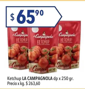 Hergo La Campagnola Ketchup dp x 250gr oferta