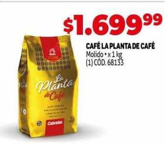 Makro Café la planta de café oferta