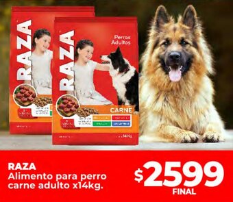 Supermayorista Vital Raza oferta
