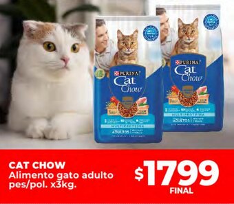 Supermayorista Vital Cat chow oferta