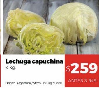 Lechuga capuchina x kg