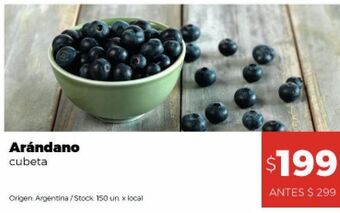 Disco Arándano cubeta oferta