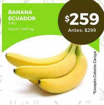 Banana ecuador