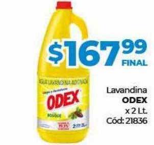 Diarco Lavandina odex oferta