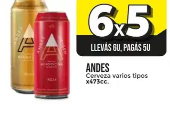Supermayorista Vital Andes Cerveza varios tipos x 473cc. oferta