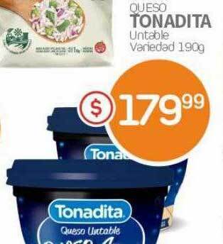 Alvear Queso tonadita oferta