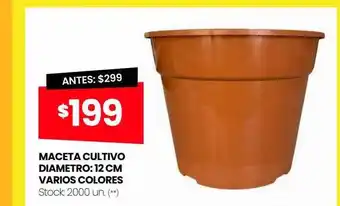 Changomas Maceta cultivo diametro: 12 cm varios colores oferta