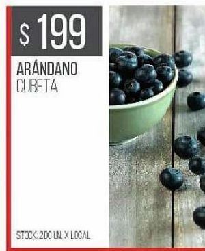 Disco Arándanos cubeta oferta