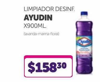 Limpiador desinf ayudin