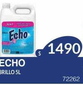 Masivos Echo brillo oferta