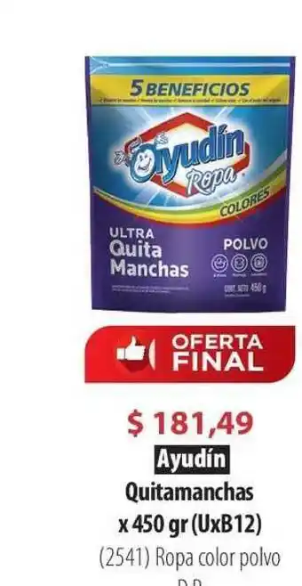 Parodi Ayudín Quitamanchas x 450 gr (UxB12) oferta