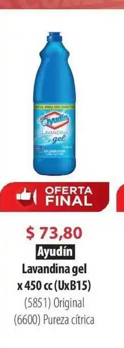 Parodi Ayudín Lavandina gel x 450 cc (UxB15) oferta