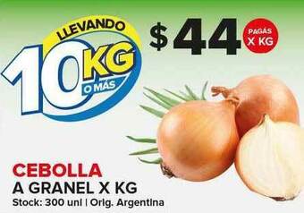 Carrefour Maxi Cebolla A Granel x Kg oferta