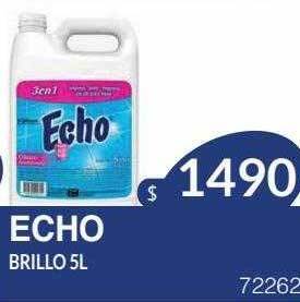 Masivos Echo brillo oferta