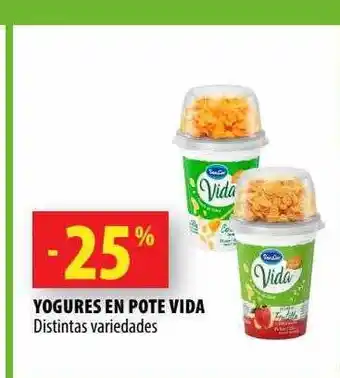 Punto Mayorista Yogures en pote vida oferta