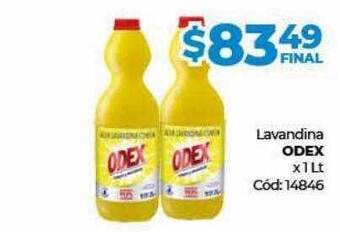 Diarco Lavandina odex oferta