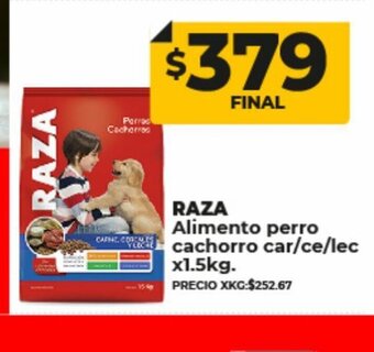 Supermayorista Vital Raza oferta