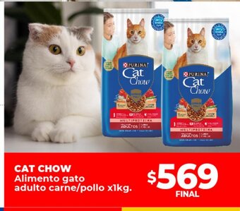 Supermayorista Vital Cat Chow Alimento gatp Adulto Carne oferta